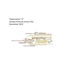 Sample Diversity Action Plan