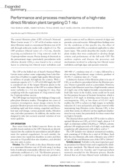 Performance and process mechanisms of a high
