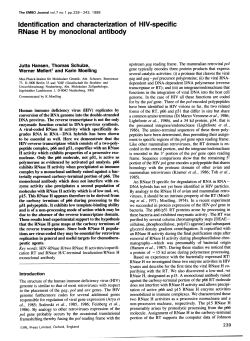 Identification and characterization of HIV