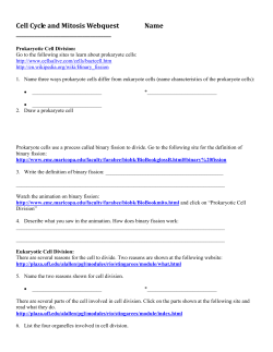 Cell Cycle and Mitosis Webquest Name