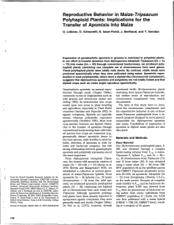 Reproductive behavior in maize-Tripsacum polyhaploid plants