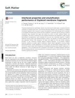 Interfacial properties and emulsification performance of thylakoid