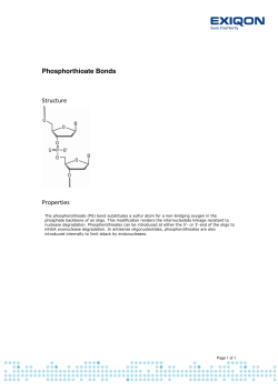 Phosphorthioate Bonds Structure Properties