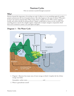 Nutrient Cycles - mercerislandschools.org