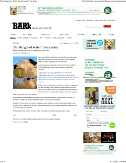 The Danger of Water Intoxication | The Bark