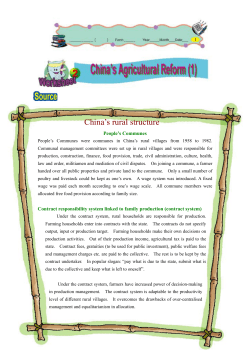 China`s rural structure