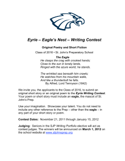 Eyrie – Eagle`s Nest – Writing Contest