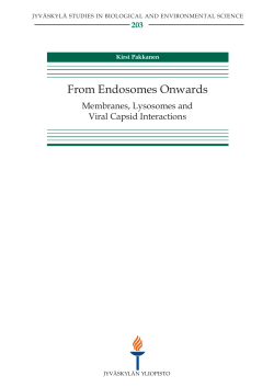From Endosomes Onwards. Membranes, Lysosomes and Viral