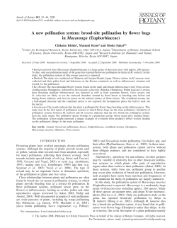 A new pollination system: brood-site pollination by flower bugs in