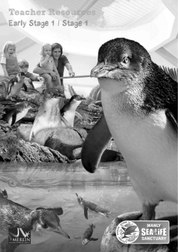 grey scale - Manly SEA LIFE Sanctuary
