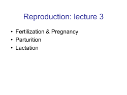 AHS reprolecture3_Witney_13