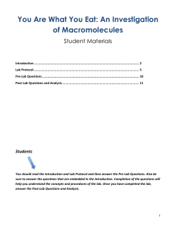 Macromolecule Procedure.docx