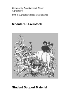 1 3 livestock - Student - Department of Education