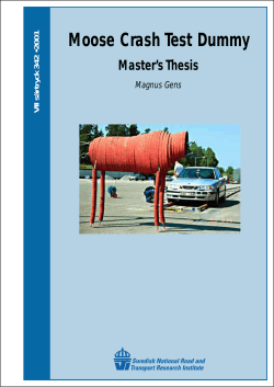 Moose Crash Test Dummy