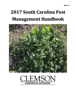 Introduction - Clemson University