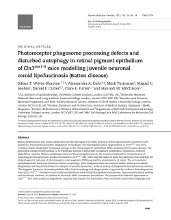 PDF - Oxford Academic - Oxford University Press