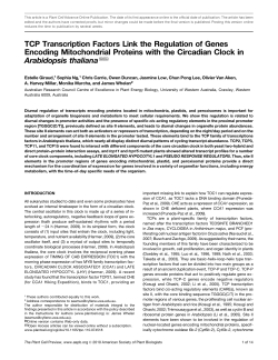 TCP Transcription Factors Link the Regulation of Genes Encoding