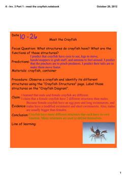 6 - Inv. 3 Part 1 - meet the crayfish.notebook