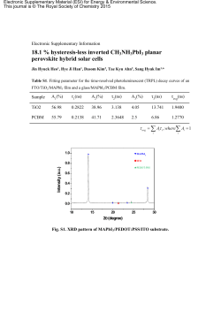 Electronic Supplementary Information