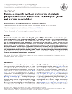 jxb.oxfordjournals.org - Oxford Academic