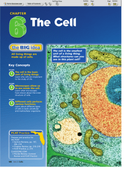 The Cell - ClassZone