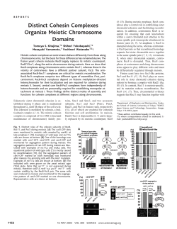 Distinct Cohesin Complexes Organize Meiotic Chromosome Domains