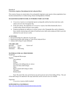 Oyster Recruitment