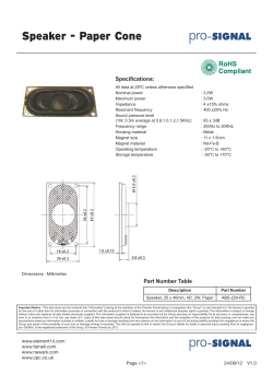Speaker - Paper Cone