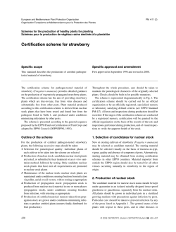 Certification scheme for strawberry