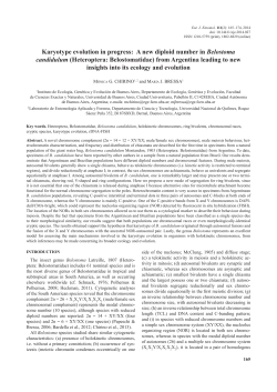 Karyotype evolution in progress: A new diploid number in