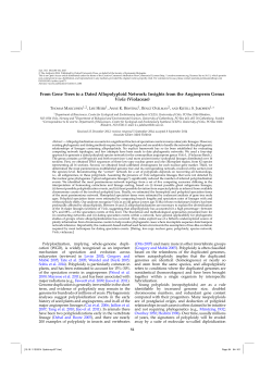 From Gene Trees to a Dated Allopolyploid