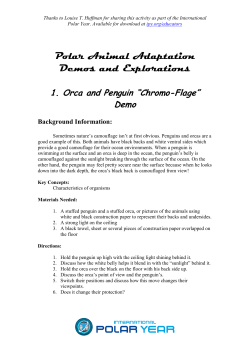 Polar Animal Adaptation