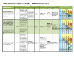 SPARQ-ed Risk Assessment Sheet : DNA / RNA Gel Electrophoresis