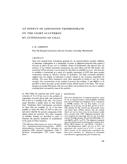 an effect of adenosine triphosphate on the light