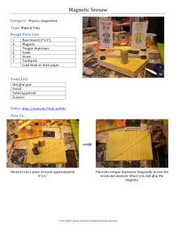 Magnetic Seesaw - Community Science Workshop Network