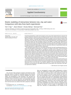 Kinetic modeling of interactions between iron, clay and water