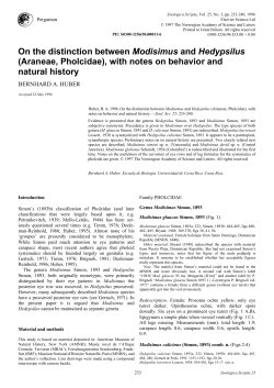 On the distinction between Modisimus and Hedypsilus