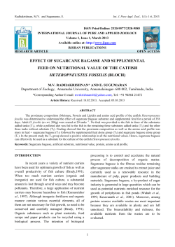 Effect of Sugarcane Bagasse and Supplemental