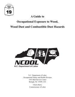 A Guide to Occupational Exposure to Wood and Wood Dust