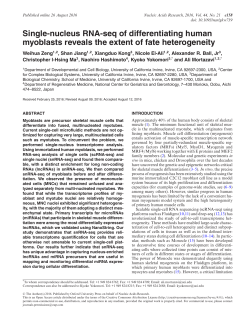 Single-nucleus RNA-seq of differentiating human myoblasts reveals