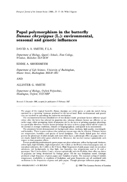 Pupal polymorphism in the butterfly Danaus