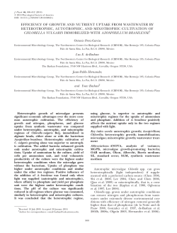 efficiency of growth and nutrient uptake