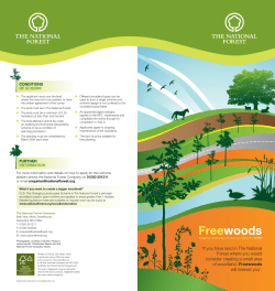 Freewoods - The National Forest