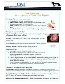 Ear Infections - Lake Side Animal Hospital
