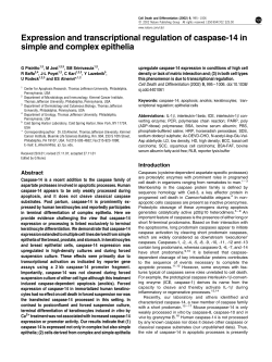Expression and transcriptional regulation of caspase