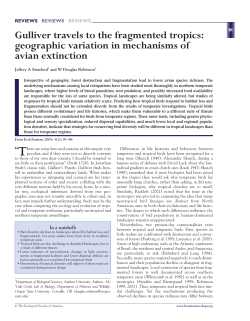 Gulliver travels to the fragmented tropics