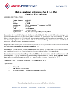 Rat m monoclo onal an nti mou use Gr-1 1 (Ly