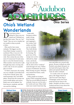 Ohio`s Wetland Wonderlands