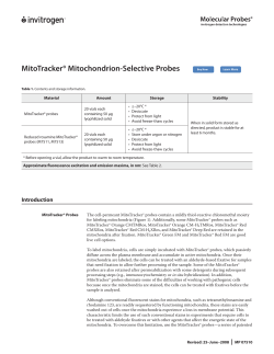MitoTracker&reg; Mitochondrion-Selective Probes