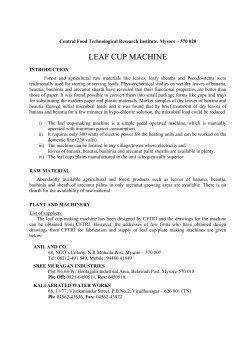 leaf cup machine
